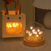 LED tulip glass dome night light on wooden base, warm decorative lamp, gift bag display